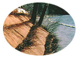 TS1-1.jpg