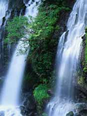 Clean water is rare in many parts of the world